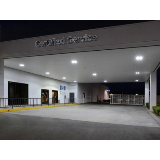CREE 304 Series Canopy luminaires