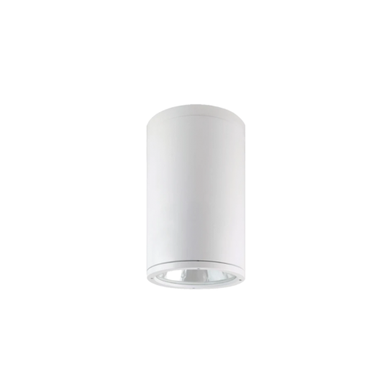 TE NE2999 48W Waterproof IP65 Surface Downlight